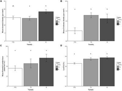 Evidence for Active Uptake and Deposition of Si-based Defenses in Tall Fescue